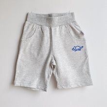 Load image into Gallery viewer, New Dino Boys’ Shorts (2-10 yo)