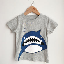 Load image into Gallery viewer, Last Pieces Boys & Girls T-shirt Collection (1-9 yo)