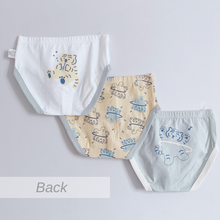 Load image into Gallery viewer, 2023 3-PACK Little Tiger, Aircraft and Road Trip Boys Briefs (2-14 yo)