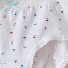 Load image into Gallery viewer, NEW 4-Pack Bunny, Fruits or Dolphin Girls' Briefs (2-14 yo)