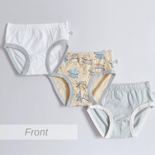 Load image into Gallery viewer, 2023 3-PACK Little Tiger, Aircraft and Road Trip Boys Briefs (2-14 yo)