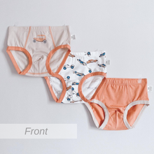 Load image into Gallery viewer, 2023 3-PACK Little Tiger, Aircraft and Road Trip Boys Briefs (2-14 yo)