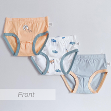 Load image into Gallery viewer, 2023 3-PACK Little Tiger, Aircraft and Road Trip Boys Briefs (2-14 yo)