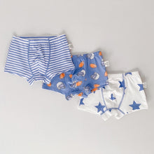 Load image into Gallery viewer, PRE-ORDER 3-PACK BOYS&#39; PRINTED BOXER BRIEFS (2-12 yo)
