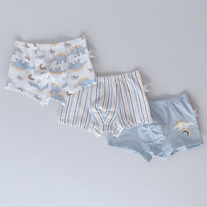 PRE-ORDER 3-PACK BOYS' PRINTED BOXER BRIEFS (2-12 yo)