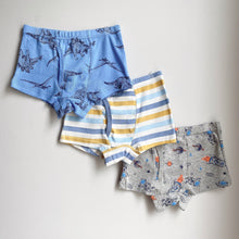 Load image into Gallery viewer, PRE-ORDER 3-PACK STRIPES BOYS&#39; COTTON BOXER BRIEFS (2-12 yo)
