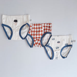 2025 3-PACK Good Boy BOYS BRIEFS (2-14 yo)