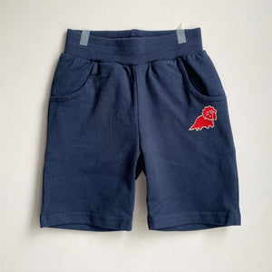 Dino Boys’ Shorts (2-10 yo)