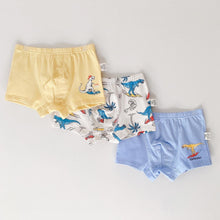 Load image into Gallery viewer, PRE-ORDER 3-PACK BOYS&#39; PRINTED BOXER BRIEFS (2-12 yo)
