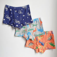 Load image into Gallery viewer, PRE-ORDER 3-PACK DINO BOYS&#39; COTTON BOXER BRIEFS (2-12 yo)
