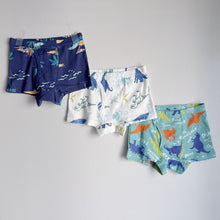Load image into Gallery viewer, 3-PACK Dino and Beach Boys' Boxer Briefs (2-12 yo)

