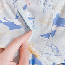 Load image into Gallery viewer, PRE-ORDER 3-PACK New Shark Boys&#39; Boxer Briefs (2-12 yo)
