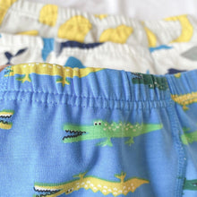 Load image into Gallery viewer, 3-PACK BEACH BOYS&#39; BOXER BRIEFS (8-9 yo)
