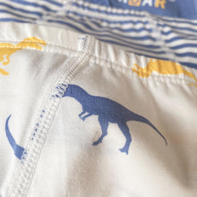 Load image into Gallery viewer, 3-PACK DINO BOYS BRIEFS (2-12 yo)
