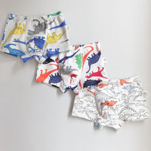 Load image into Gallery viewer, 3-PACK DINO BOYS&#39; BOXER BRIEFS (8-10 yo)
