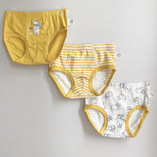 Load image into Gallery viewer, 3-PACK BEAR BOYS BRIEFS (2-12 yo)
