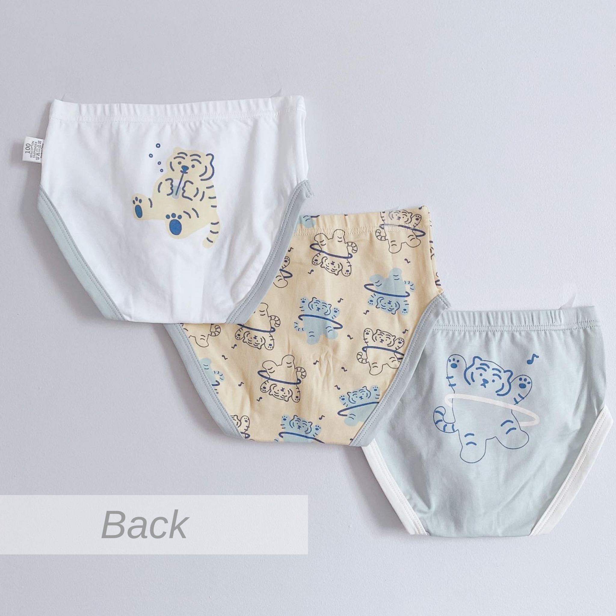 2023 3-PACK Little Tiger, Aircraft and Road Trip Boys Briefs (2-14 yo) –  Olivesph
